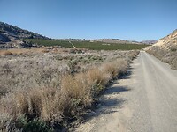 IMG_20250124_112009460_HDR