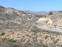 IMG_20250124_113733998