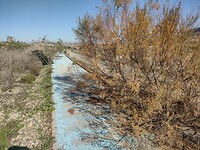 IMG_20250124_132757071_HDR