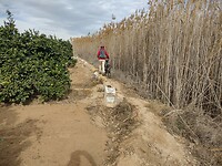 IMG_20250125_130130254_HDR