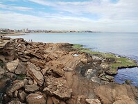 IMG_20250125_145349410