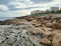 IMG_20250125_145742062_HDR