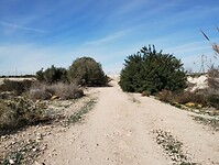 IMG_20250126_140848103