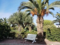 IMG_20250126_142342245