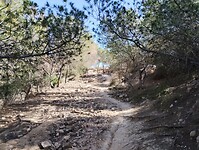 IMG_20250127_143207131