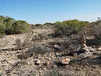 IMG_20250127_143352244