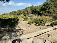 IMG_20250127_150125630_HDR