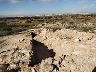 IMG_20250127_152439870