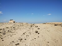 IMG_20250127_153753393