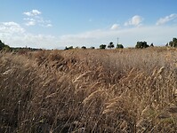 IMG_20250127_154924813
