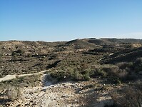 IMG_20250127_162839690