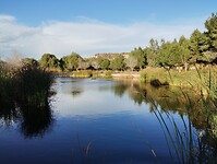 IMG_20250127_165010507