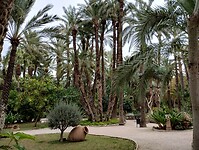IMG_20250129_110322913_HDR