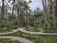 IMG_20250129_110528868_HDR