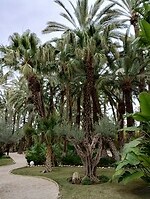 IMG_20250129_110655180_HDR