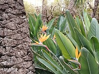 IMG_20250129_110902605