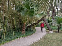 IMG_20250129_110941004_HDR