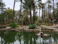 IMG_20250129_111011213_HDR