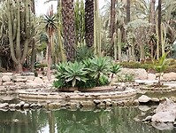 IMG_20250129_111037978