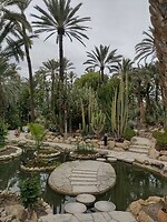 IMG_20250129_111549155_HDR