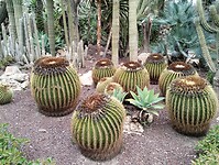 IMG_20250129_111628647