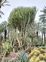 IMG_20250129_111757458_HDR