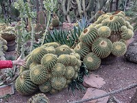 IMG_20250129_111818898_HDR