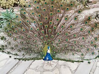 IMG_20250129_112047982