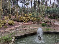 IMG_20250129_112140947_HDR