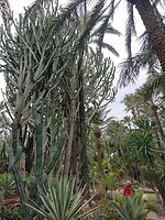 IMG_20250129_112256446_HDR