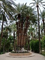 IMG_20250129_112510781_HDR