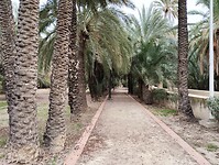 IMG_20250129_115701654
