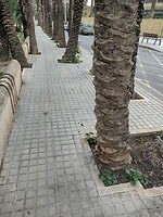 IMG_20250129_120019551_HDR