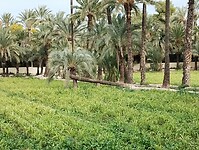IMG_20250129_120758273