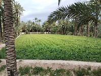 IMG_20250129_120845831