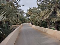 IMG_20250129_121255302_HDR