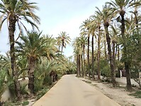 IMG_20250129_121646110