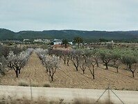 IMG_20250129_132629550