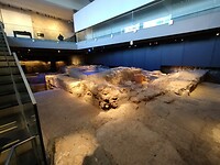 IMG_20250130_113257156