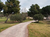 IMG_20250201_102545484