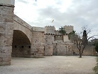 IMG_20250201_104107261