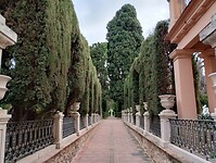 IMG_20250201_110108053_HDR