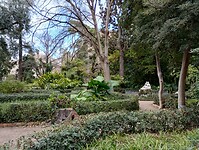 IMG_20250201_110939674_HDR
