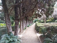 IMG_20250201_111040527
