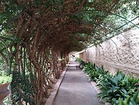 IMG_20250201_111127035