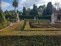 IMG_20250201_111311614_HDR