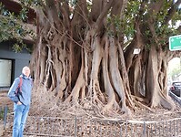IMG_20250201_111936790