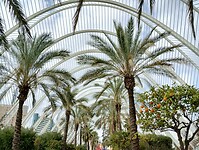 IMG_20250201_140412312_HDR