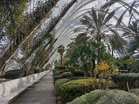 IMG_20250201_140719313_HDR