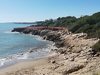 IMG_20250202_123406293
